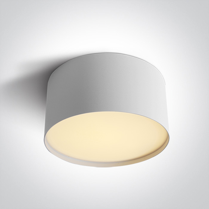 12120M/W/V WHITE 20W CCTV IP20 230V