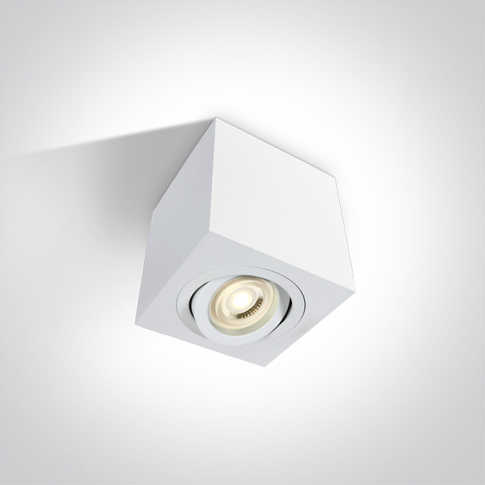 g10 ceiling lights