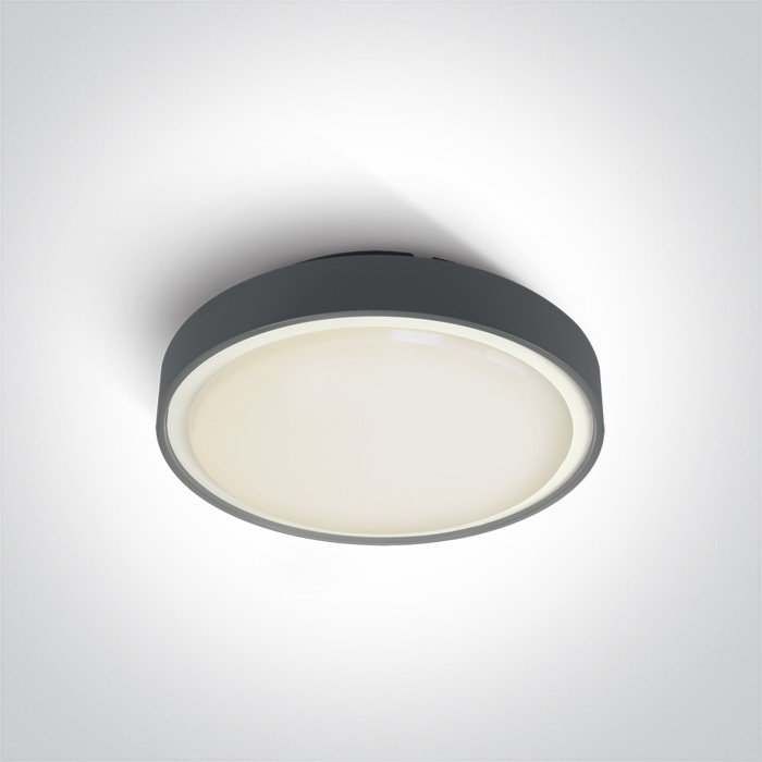 67280AN/AN/W ANTHRACITE LED PLAFO 24W WW IP65 230V